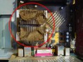 /album/limpeza-do-computador/image316-jpg/